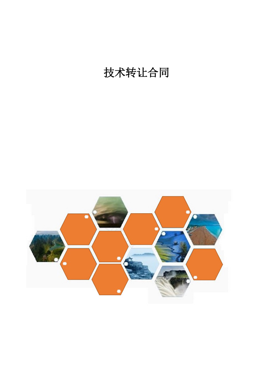 精編技術(shù)轉(zhuǎn)讓合同中的技術(shù)推廣條款詳解